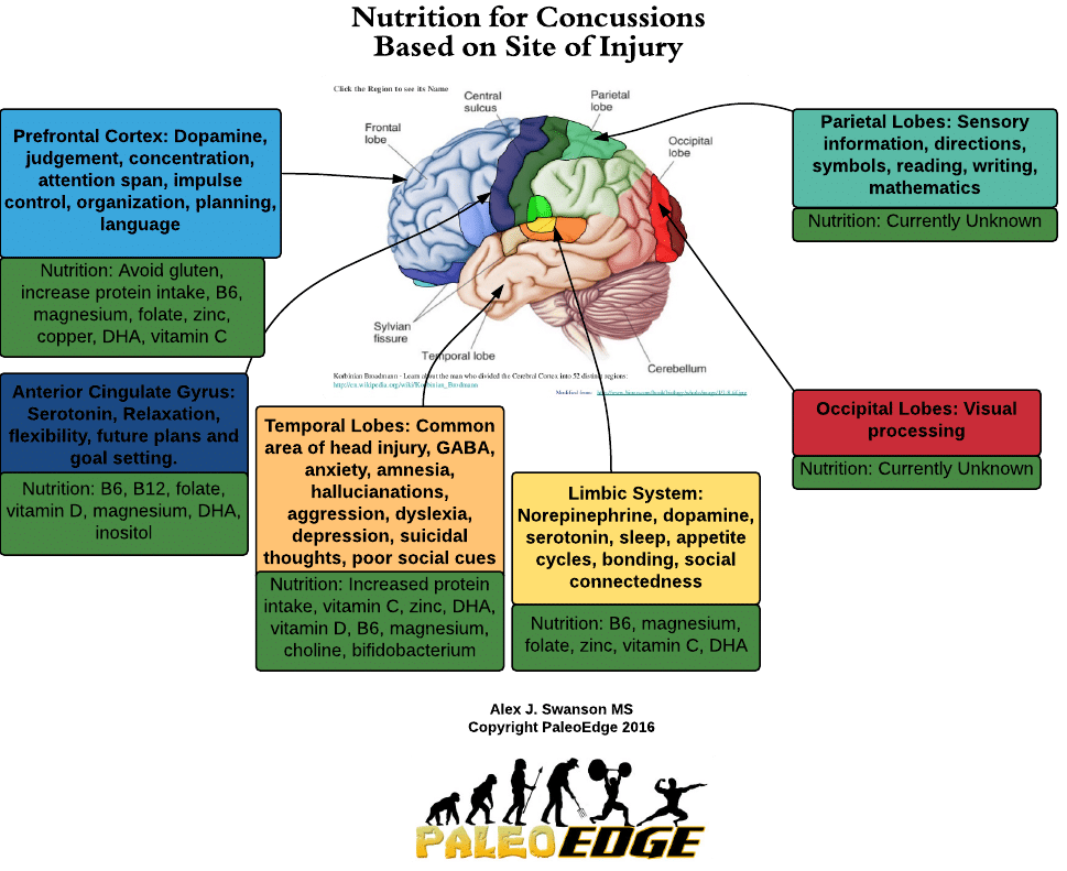 Nutrition for Concussions Based on Site of Injury